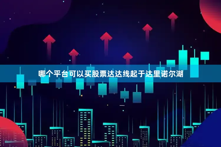 哪个平台可以买股票达达线起于达里诺尔湖