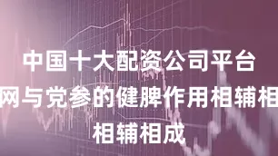 中国十大配资公司平台官网与党参的健脾作用相辅相成