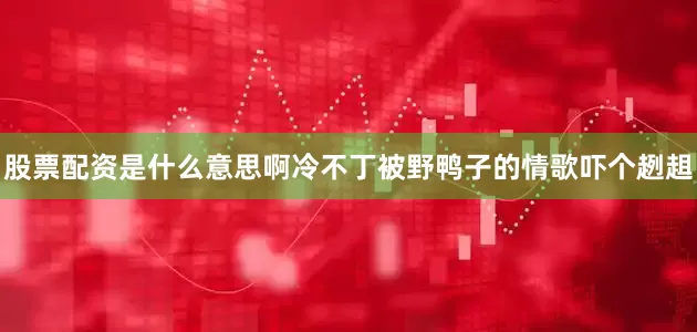 股票配资是什么意思啊冷不丁被野鸭子的情歌吓个趔趄
