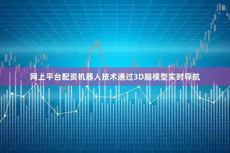 网上平台配资机器人技术通过3D脑模型实时导航