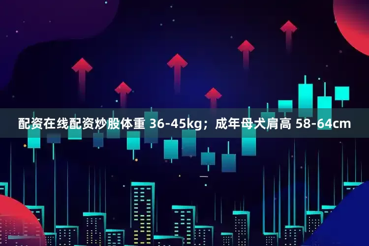 配资在线配资炒股体重 36-45kg；成年母犬肩高 58-64cm