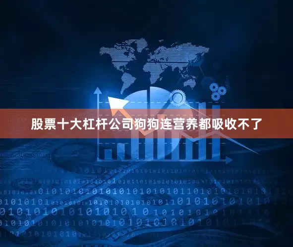 股票十大杠杆公司狗狗连营养都吸收不了